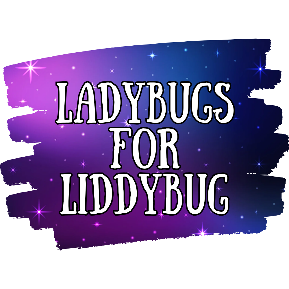 Ladybugs for Liddybug